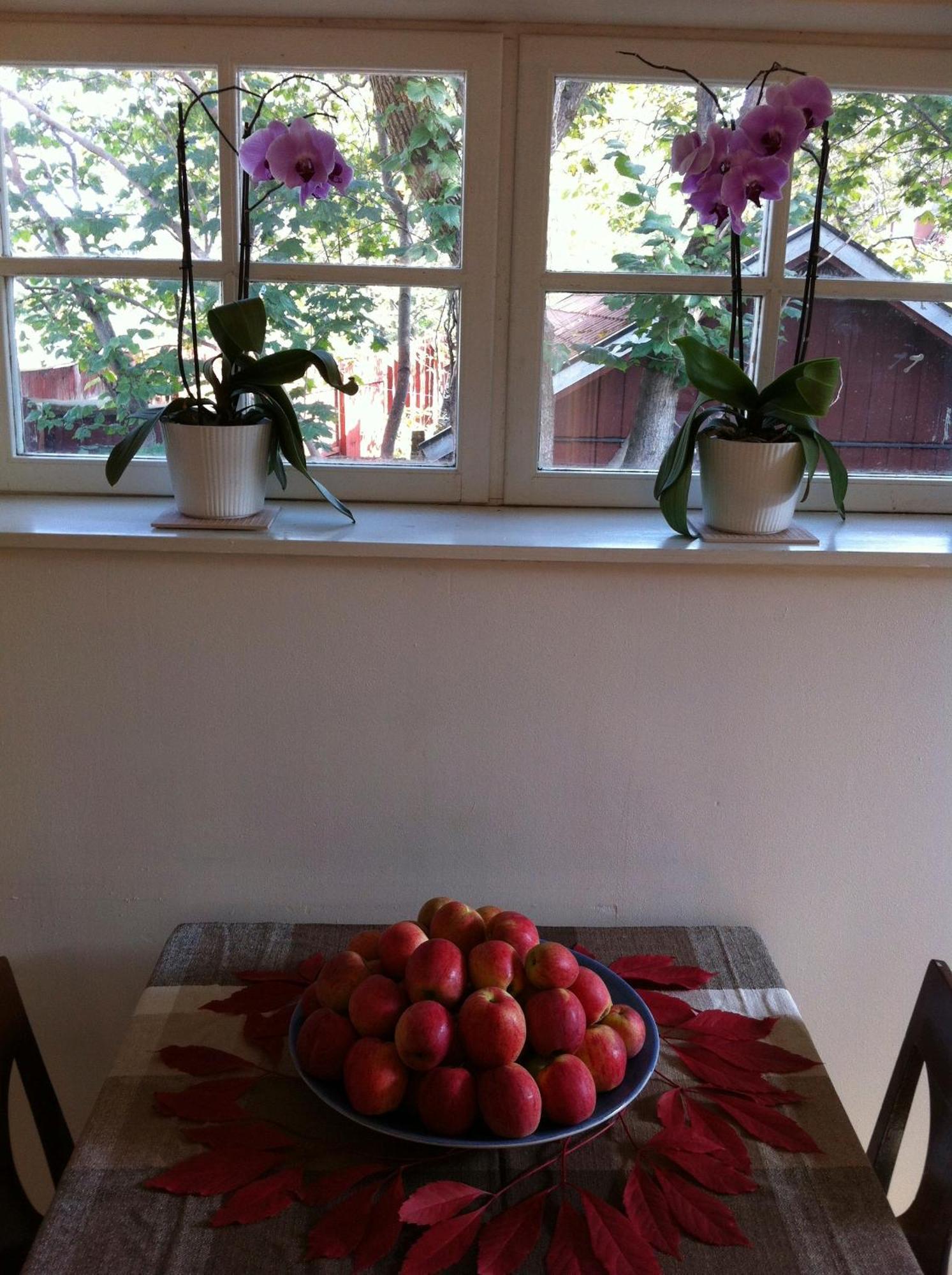 Stockholm B&B Cottage Nacka Oda fotoğraf