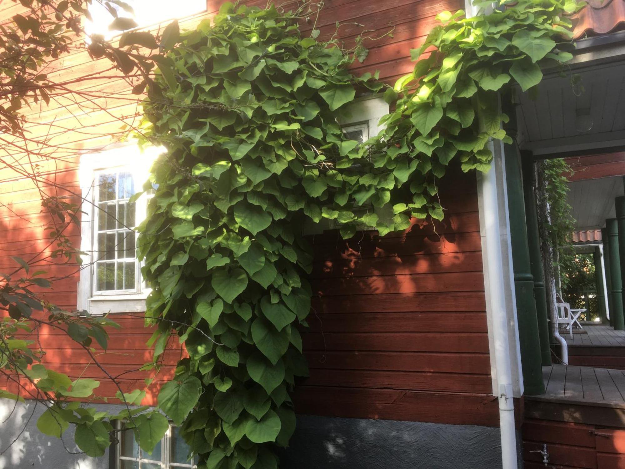 Stockholm B&B Cottage Nacka Oda fotoğraf