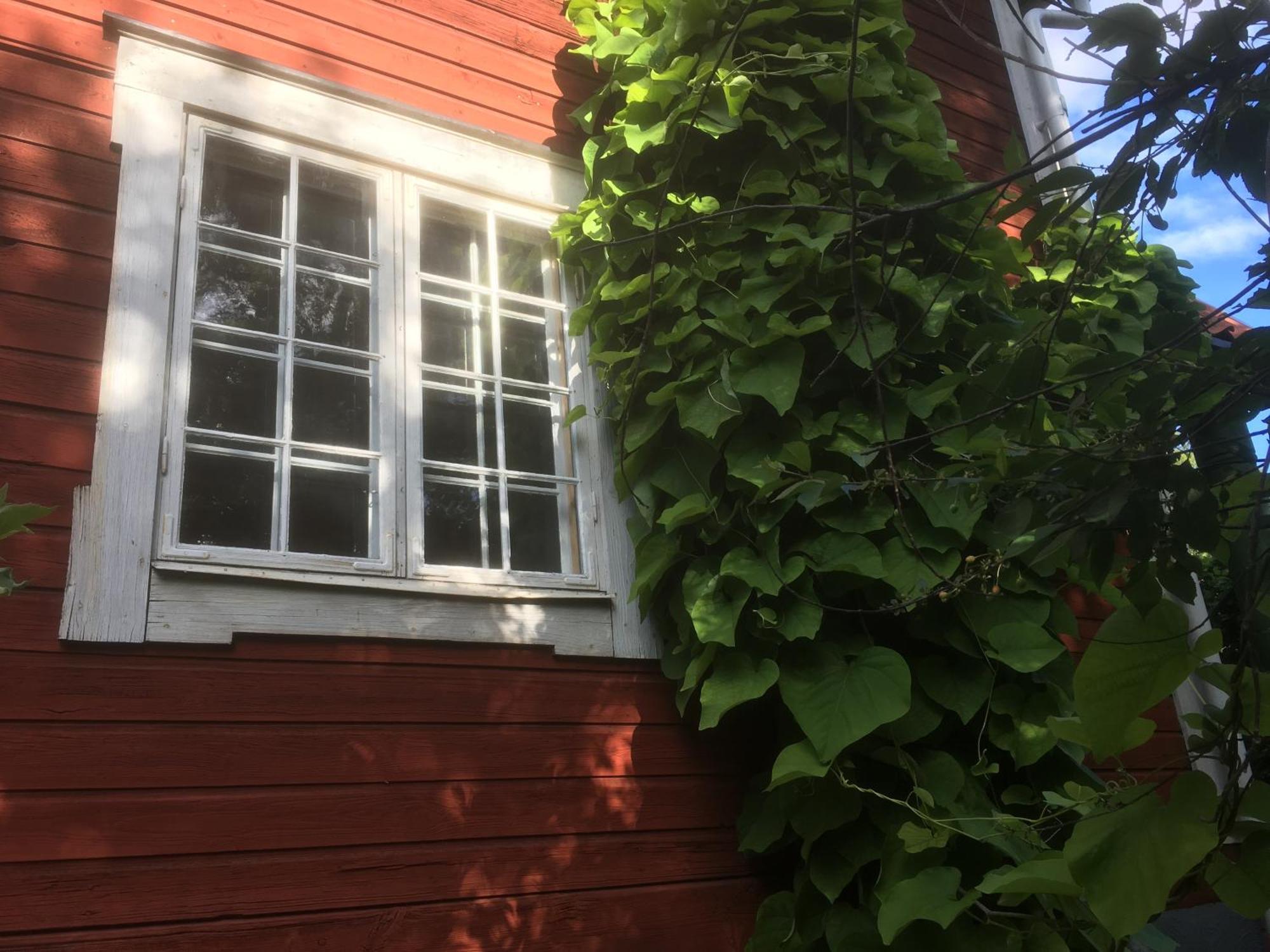 Stockholm B&B Cottage Nacka Oda fotoğraf