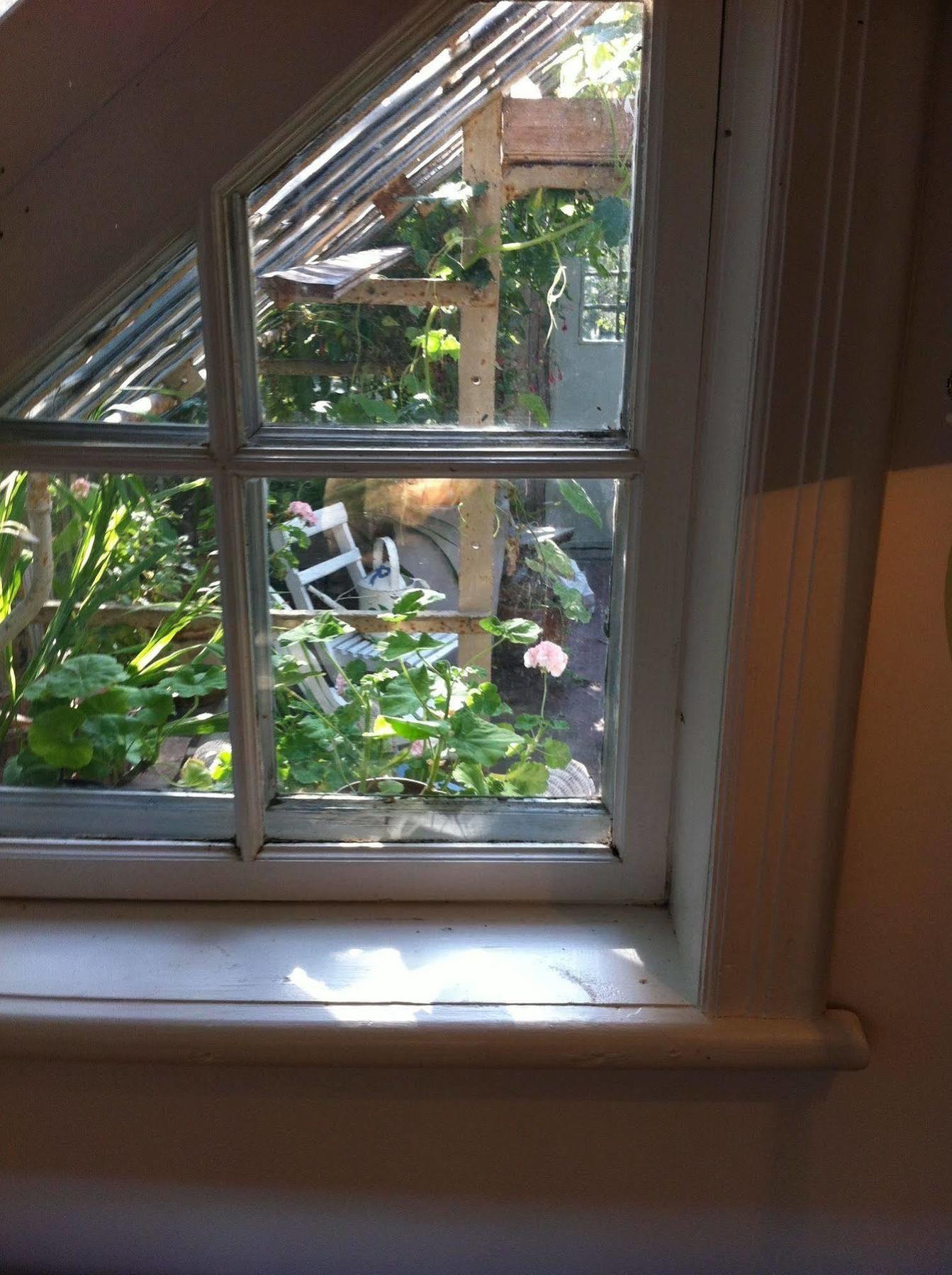 Stockholm B&B Cottage Nacka Dış mekan fotoğraf