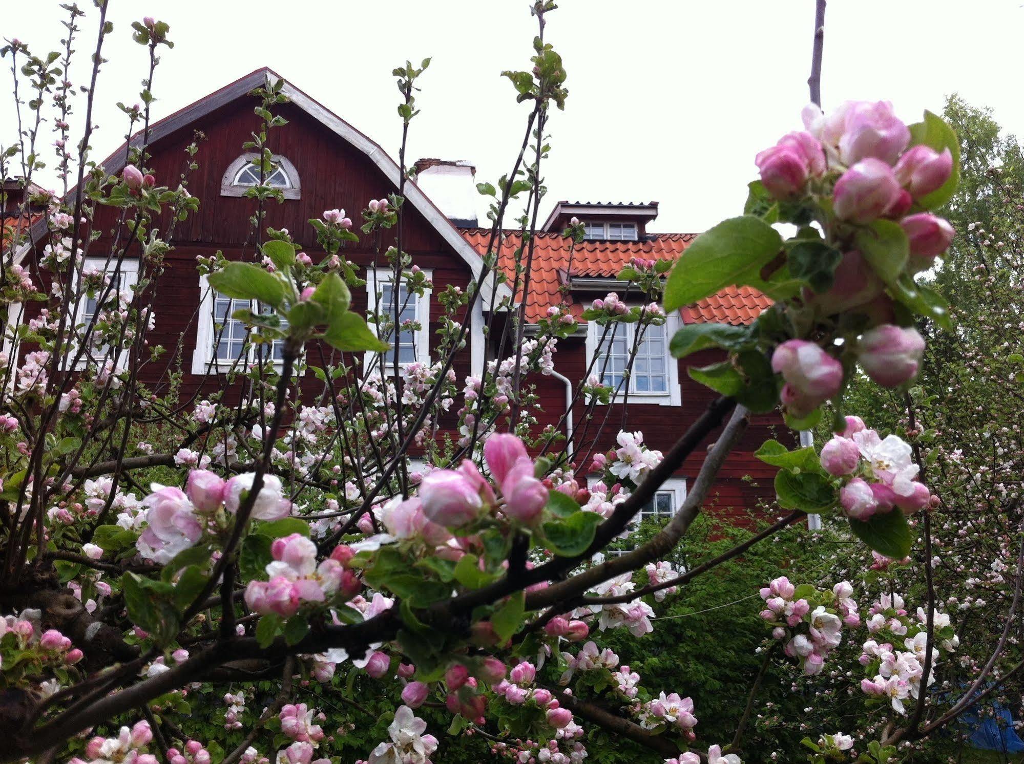 Stockholm B&B Cottage Nacka Dış mekan fotoğraf